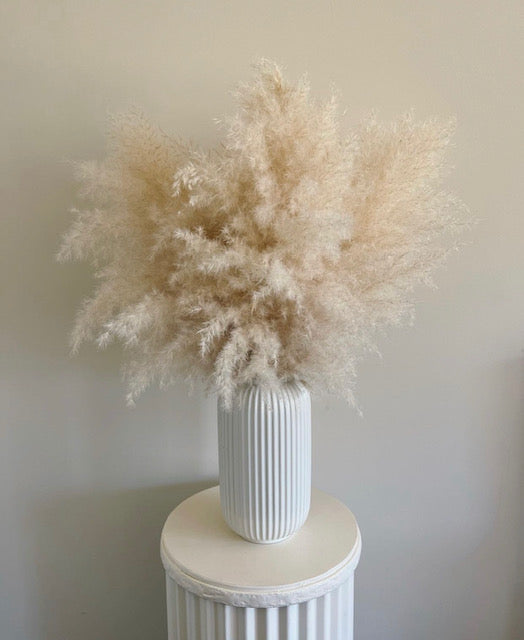 Sky - Medium Arrangement