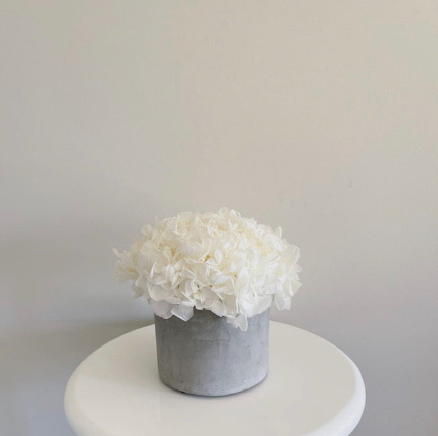 Betty - Small Arrangement