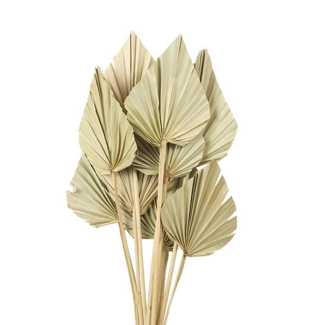 Natural small Palms - Flower Bar